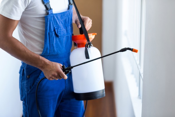Why Should You Go For Reliable Pest Control Services?