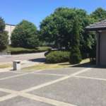 Repair and Restore Concrete in Christchurch