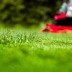 Lawn Mowing Practices