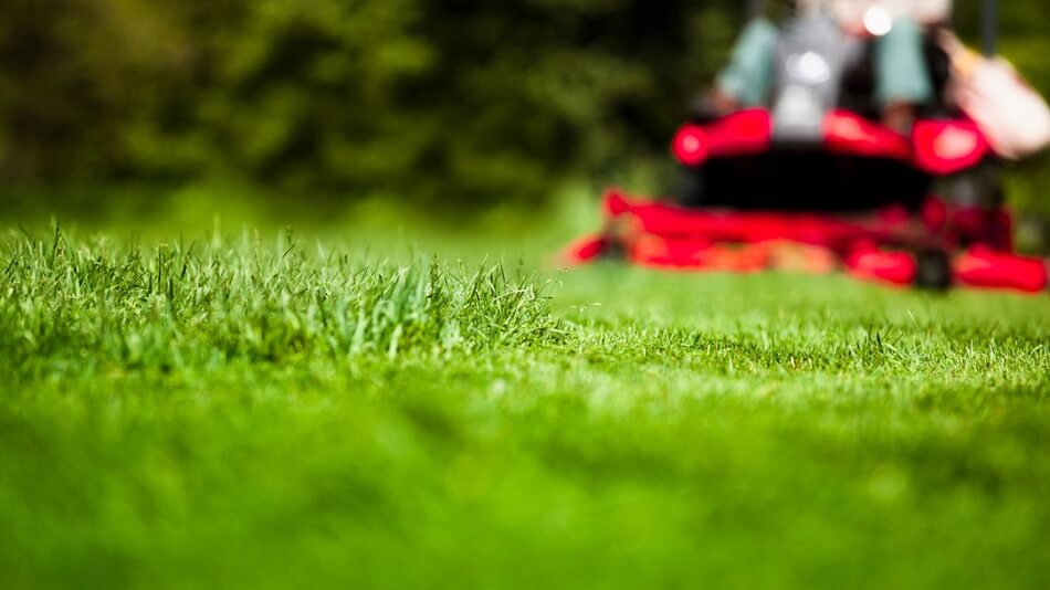 Lawn Mowing Practices