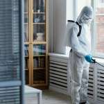 Protecting Your Family from Mosquito-Borne Diseases with Pest Control Services