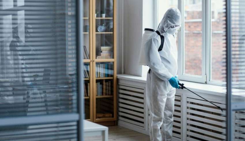 Protecting Your Family from Mosquito-Borne Diseases with Pest Control Services