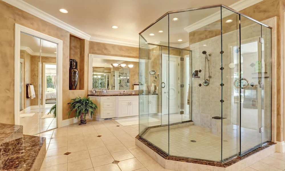 shower door