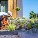 professional landscape construction