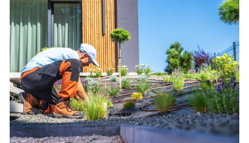 professional landscape construction