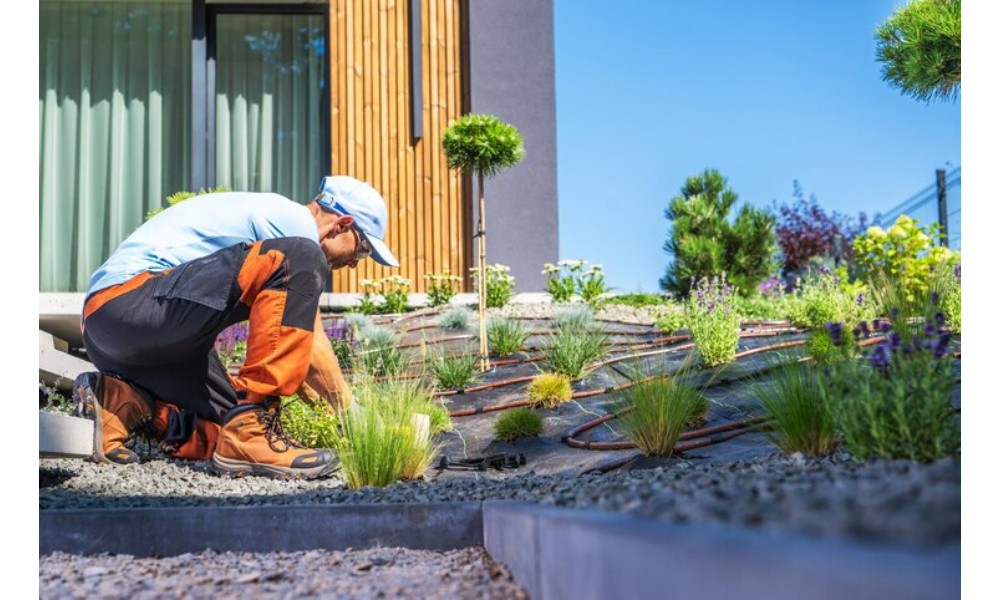 professional landscape construction